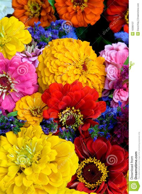 You can download free flower vector in.ai and.eps format. Summer Flowers stock image. Image of arrangement ...