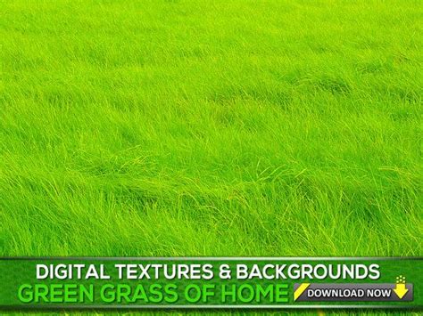 100 Grass Textures And Backgrounds Green Grass Photoshop Overlays