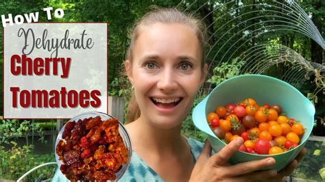 Dehydrating Cherry Tomatoes Lets Preserve Our Cherry Tomatoes Youtube