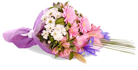 Congratulation Flower Png Transparent Images Png All