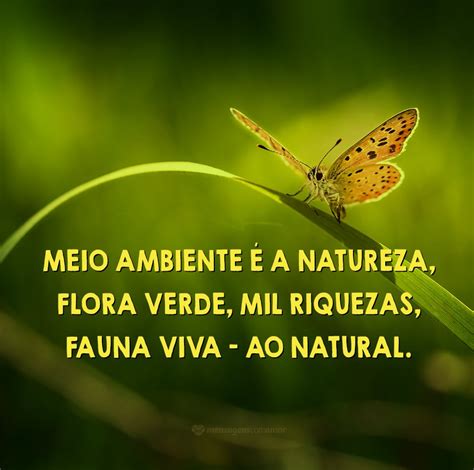 poemas sobre o meio ambiente conecte se com a natureza