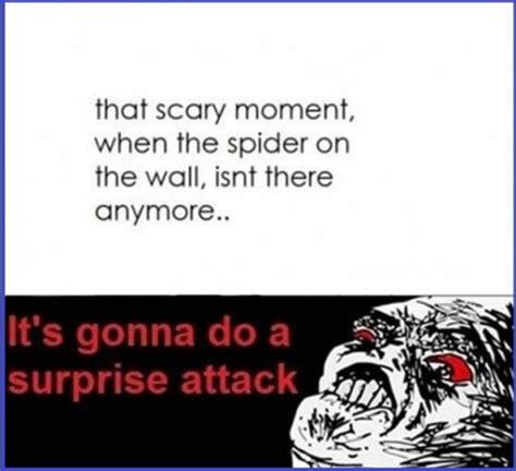 Scared Of Spiders Quotes Quotesgram