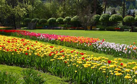 Flower Power Arboretums In Slovenia