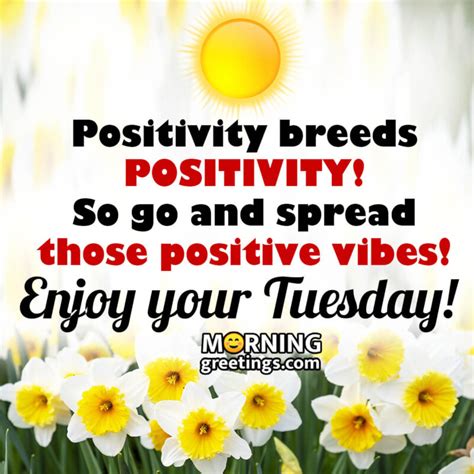50 Happy Tuesday Blessing Quotes Morning Greetings Morning Quotes