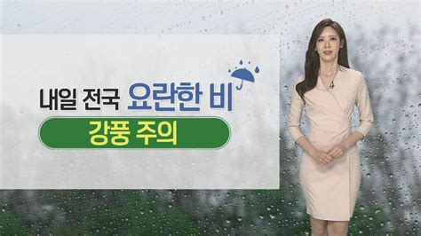 내일 전국 가을비…비 그치고 기온 '뚝'. 날씨 내일~모레 전국 비…벼락·돌풍 동반 | 연합뉴스