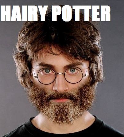 Hairy Potter Harry James Potter Fan Art Fanpop