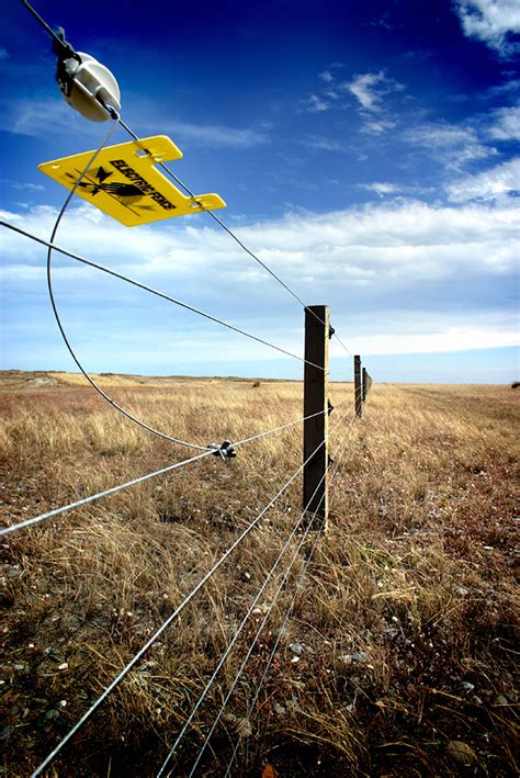 An electric fence is a barrier that uses electric shocks to deter people from crossing a boundary. Electric Fence Introduction | Blain's Farm & Fleet Blog