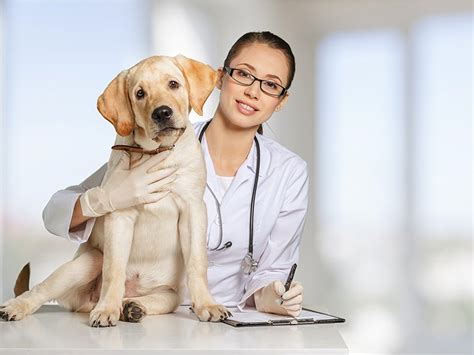 There is 1 animal hospital per 23,154 people, and 1. Emergency Care - Tampa Rawpets - Human Grade Pet Food