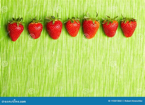 Seven Strawberries In A Row Stock Photo Image Of Strawberry
