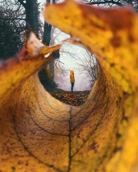 Kreative Herbst Foto Idee Inspiration Laub Porträt Instagram Autumn