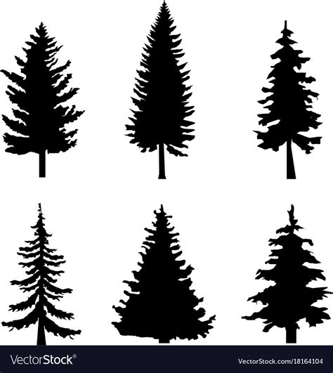 Set Of Black Silhouettes Of Pine Trees On White Vector Image