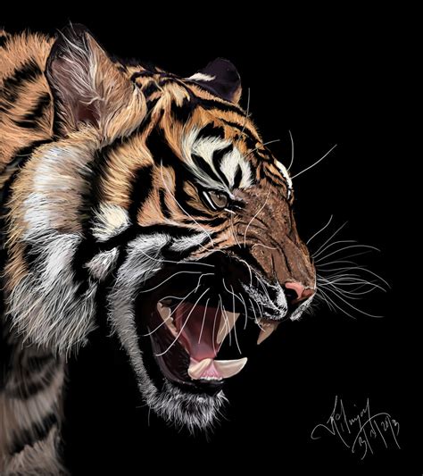 Tiger Digital Painting By Xavio Design On Deviantart