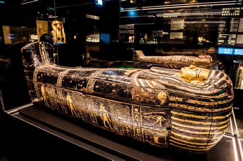 7 Reasons To Experience The Royal Bc Museums Egypt Exhibit Clipper
