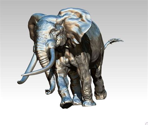 Elephant Nature 3d Print Model Cgtrader