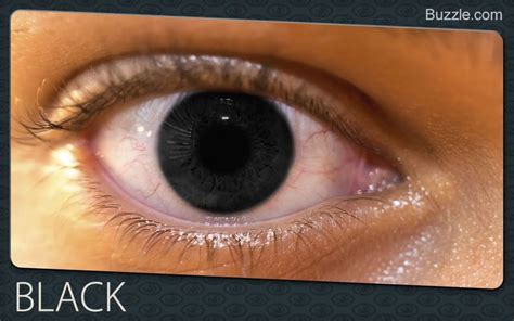 Black Eyes Rare Eye Colors Eye Color Facts Rare Eyes