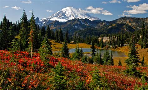 Bezienswaardigheden Mount Rainier National Park