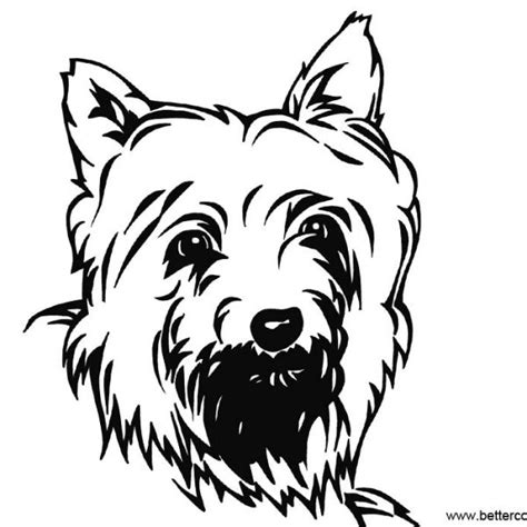 cute yorkie coloring pages  printable coloring pages