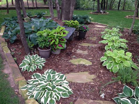 Shade Flower Bed With Hostas Coleus And Impatient Pots Shade Flowers