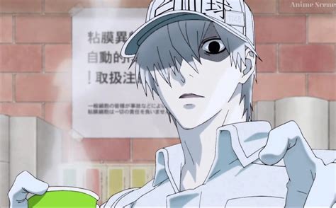 In a world where eye color shows the power of the owner, abel was a. 【はたらく細胞】白血球ってなんなの？？種類や役割について ...
