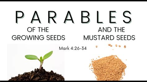 Parables Of The Growing Seeds And The Mustard Seed Youtube