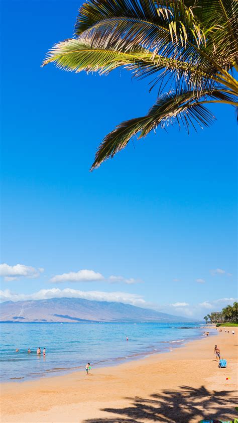 Wallpaper Maui Hawaii Beach Ocean Coast Palm Sky 5k