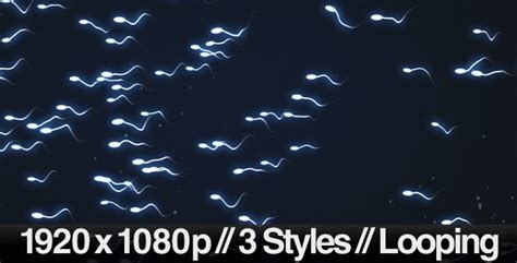 Sperm Swimming 3 Different Styles Looping By Butlerm Videohive