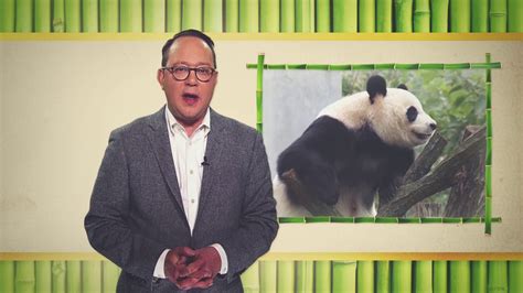 Chinas Panda Diplomacy Youtube
