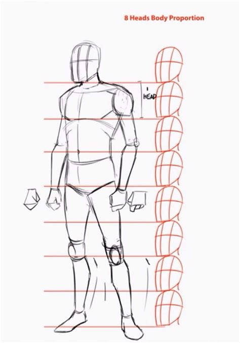 A Drawing Of A Mans Body With The Words 8 Heads And 4 Proportion
