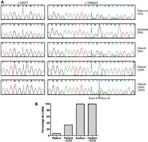 Trim2 Sequencing A Sanger Sequencing Shows That The Patients Download Scientific Diagram