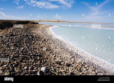Natural Salt Flats On The Shores Of Laguna San Ignacio Baja California