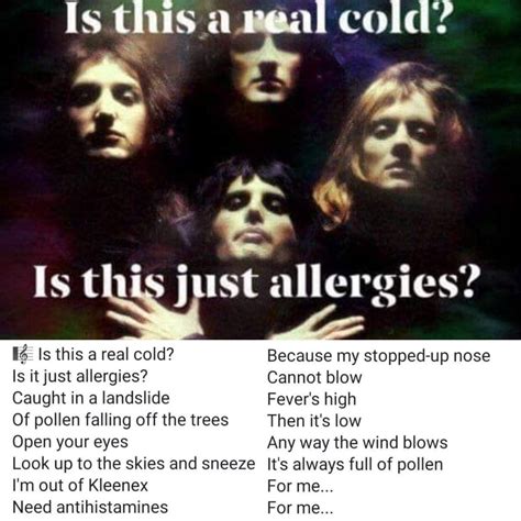Queen Allergy Cover Song Allergies Funny Funny Quotes Funny