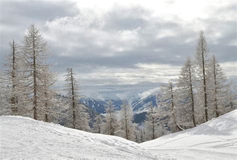 Frosty Winter Landscape Stock Image Image Of Field America 82298657