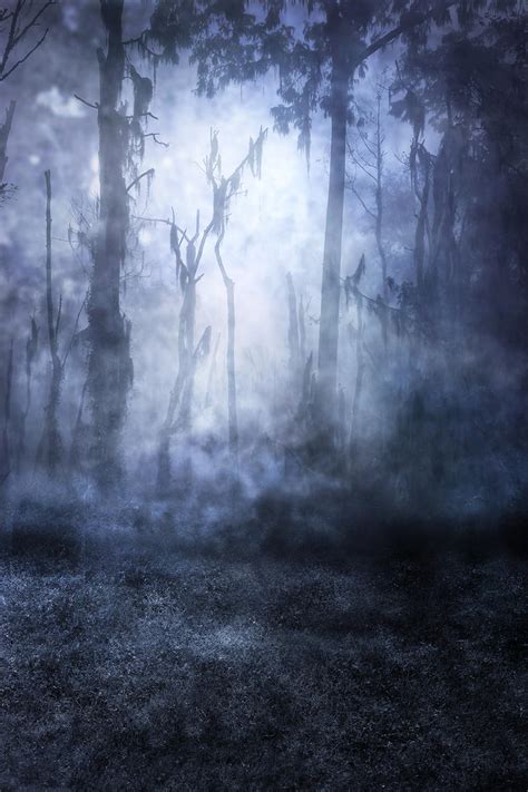 Unrestricted Haunted Woods Premade By Frozenstocks On Deviantart