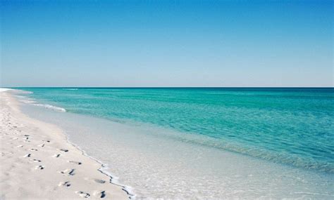 Gulf Coast Florida Beach Sand Pearly White Sugar Sand