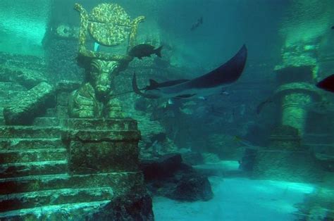 11 Lion City China 20 Underwater Wonders Of Our Blue Planet