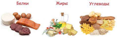 Белки Жиры И Углеводы Диета — Похудение Диета Правильное Питание Картинка - Белки Жиры И Углеводы Диета — Похудение Диета Правильное Питание