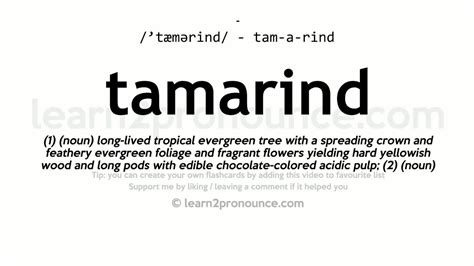 Tamarind Pronunciation And Definition Youtube