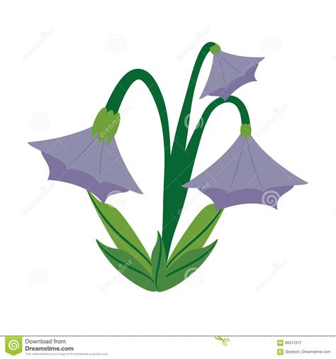 Macro di grappoli di fiori rosa a forma di campana in fiore. Immagine Blu Del Fiore Di Campana Illustrazione di Stock - Illustrazione di dissipato, bluebell ...