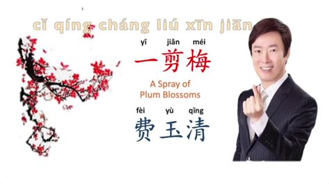费玉清 Yu Ching Fei 一剪梅 A Spray Of Plum Blossoms With Pinyin And English