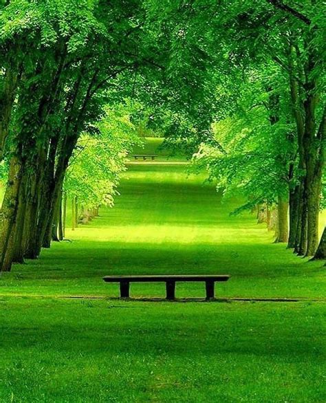Color Challenge Effect Of Green Color On Human Psychology And Green