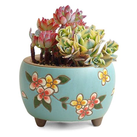 4,923 likes · 8 talking about this. Summer Impressions 5 Inch Hand Painted Succulent Cactus ...