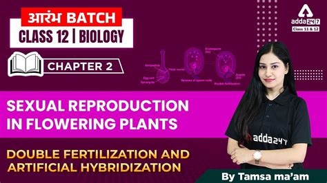 Double Fertilization In Flowering Plants Artificial Hybridisation