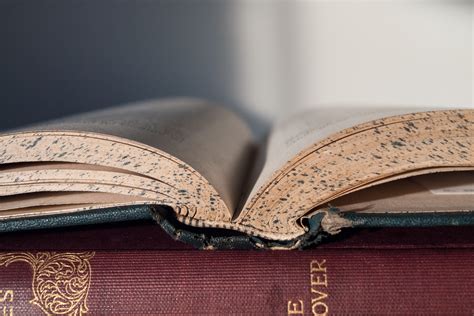 Closed Up Photo Of An Open Book · Free Stock Photo