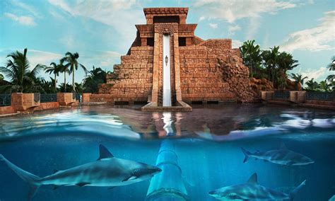 Bahamas Mayan Temple Water Slide 35mph Chute Lets Swimmers Whizz Down