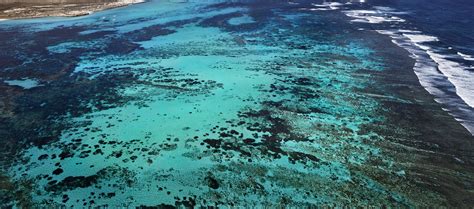 Ningaloo Reef David Bettini