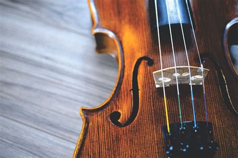 Todo Lo Que Debes Saber Sobre La Viola Música Clásica