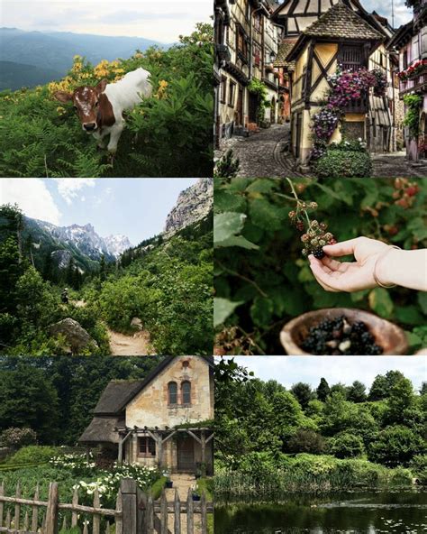 Cottage Witch Aesthetic~ 🌳🌲 Witch Aesthetic Witch Cottage Nature Witch