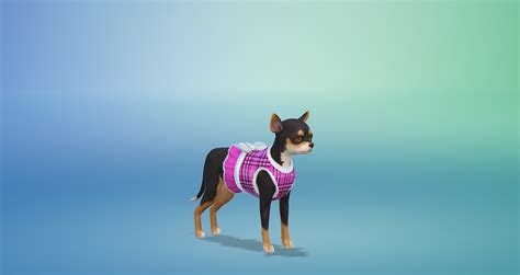 The Sims 4 My First Pet Stuff Pack Guide Simsvip