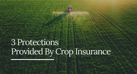 Given farmers' longstanding history and expertise in the insurance industry, this insurance company is a great choice for customers who need reliable home and auto. 3 Protections Provided By Crop Insurance - Oak Hill & Beckley WV - Jim Lively Insurance