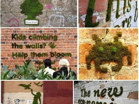 1001 Idées Pour Un Art Végétal Avec Des Graffiti En Mousse Moss